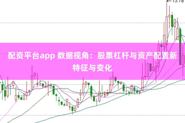 配资平台app 数据视角:股票杠杆与资产配置新特征与变化
